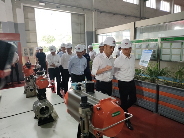 湖州市市長王綱、長興縣縣長沈志偉等市縣領導蒞臨國家高新技術企業——浙江中德科技股份視察